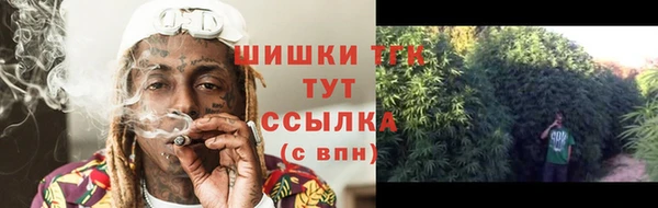 индика Армянск