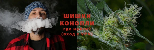 индика Армянск