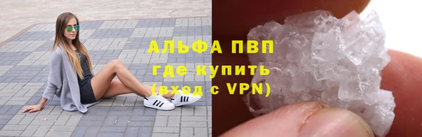 индика Армянск