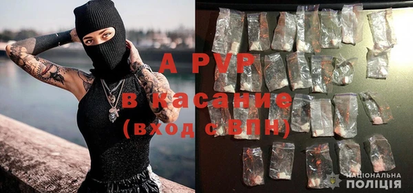 индика Армянск