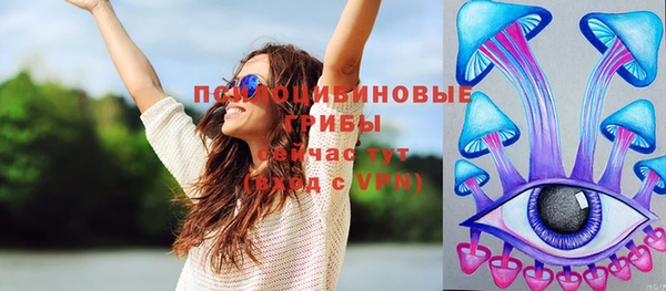 индика Армянск