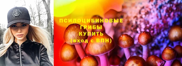 индика Армянск