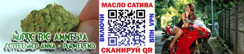 ТГК вейп  Гвардейск 