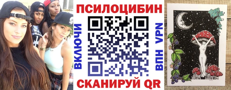сколько стоит  Гвардейск  блэк спрут как зайти  Псилоцибиновые грибы Psilocybine cubensis 